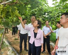 <b>全方位建牢农产物平安屏</b>